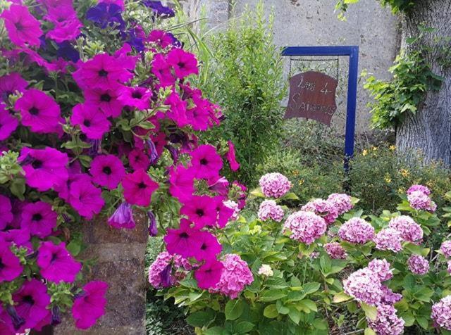 Bed and Breakfast Les Quatre Saisons à Moitron-sur-Sarthe Extérieur photo